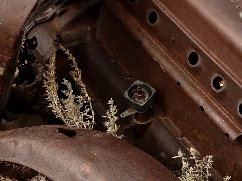 Reclamation, Bodie, California, 2004