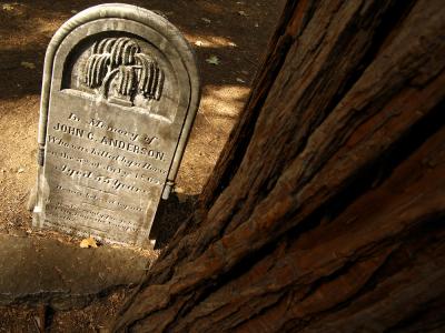 Pioneer Cemetery, Yosemite National Park, California, 2004