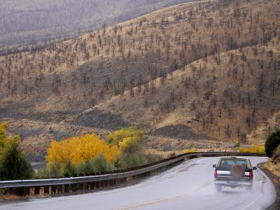Wet Curve, near the California-Nevada Border, 2004