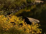 Autumn on the Merced, Yosemite National Park, California, 2004