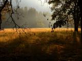 Evening Landscape, Yosemite National Park, California, 2004