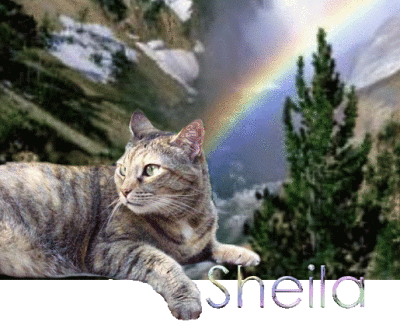 Sheila (Dec. 1990 - Feb. 24, 2003)