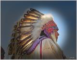 Hobbema Chief