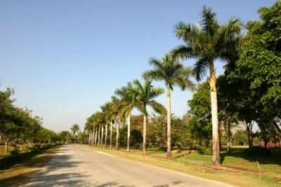 avenue  Chiang Rai