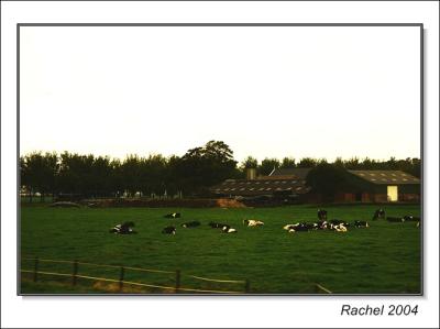 Netheland