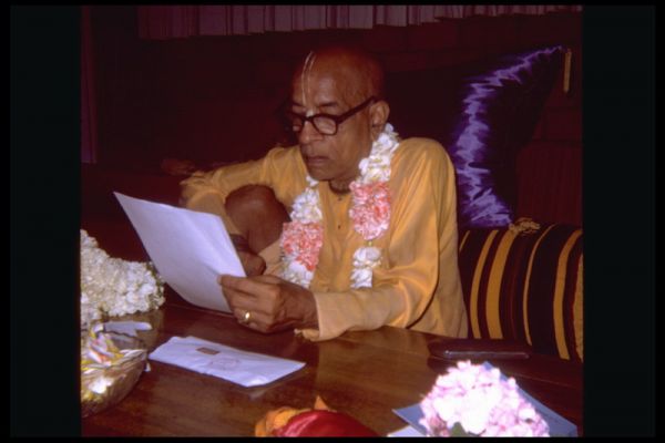 Sp32.jpg