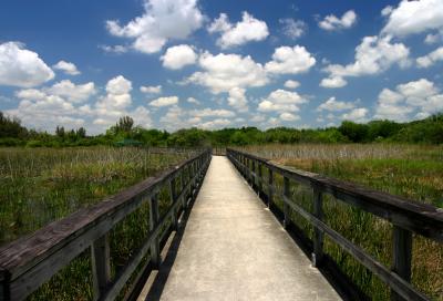 Tree Tops Park ( Ft Lauderdale, FL)