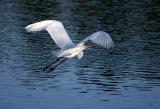 IMG_2875 .jpg