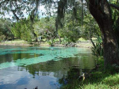 The Main Spring Pool