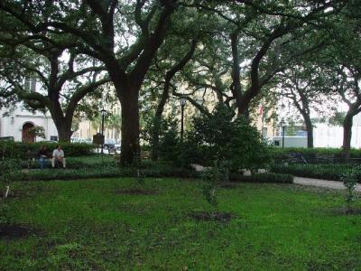 Forest Gumph Bench in Savannah