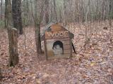 Dog House on the trail at Stonewall