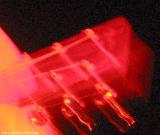 IMG_1147.jpg