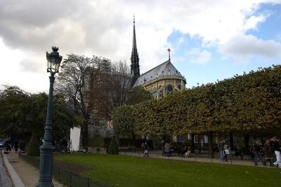 Notre-Dame-from-park