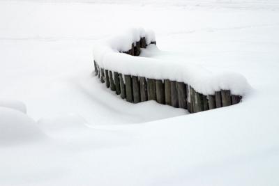 [November 29th] Winter alternate