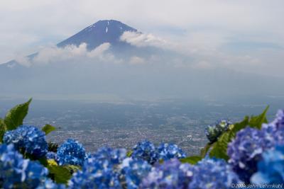 Mt. Fuji