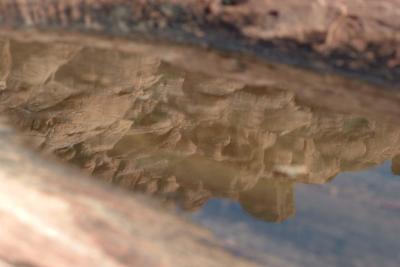 Reflection