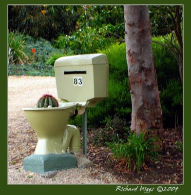 Toilet mail box