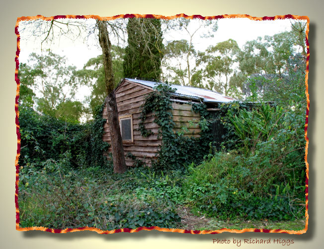 Overgrown shed