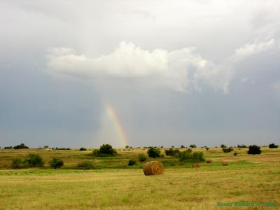Early morning rainbow
