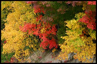 Autumn light #04