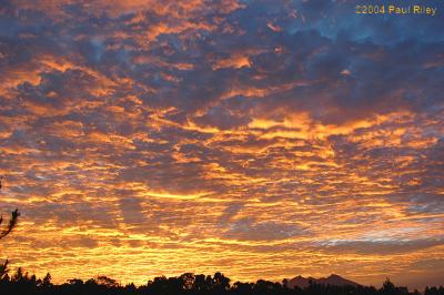 Another sunset - we don't get them that often honestly