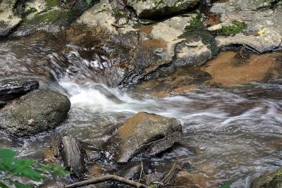 Rushing-Creek.jpg