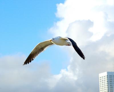 DSC_1293.jpg