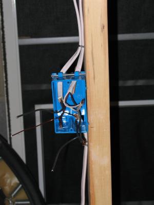 IMG_2877 (Custom).JPG