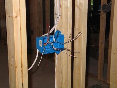 IMG_2879 (Custom).JPG