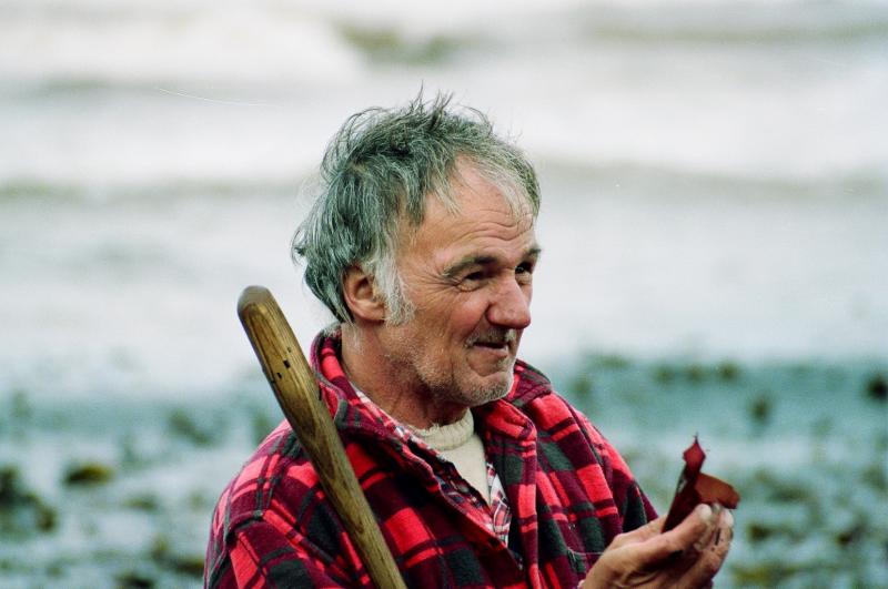 Gathering Irish Moss