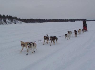 035_Susitna100_KimKittridgeTeam_YentnaRiver_Mi60_.jpg