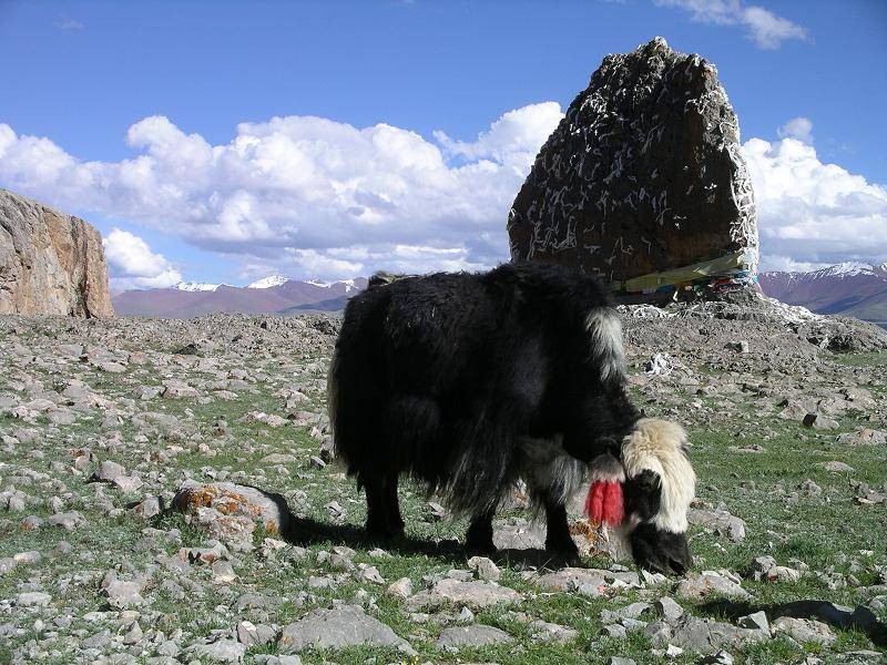 Nam-tso lake - Tengali Sea