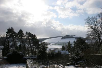 A Winter View from the Garden