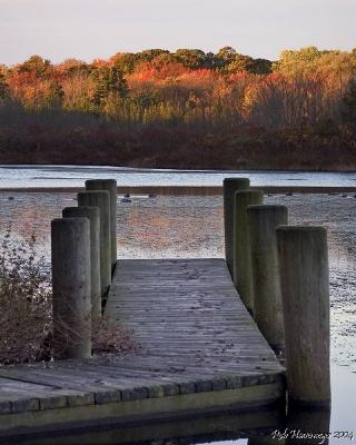 CRW_1609.1