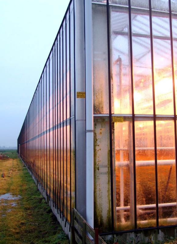 Orange light on greenhouse