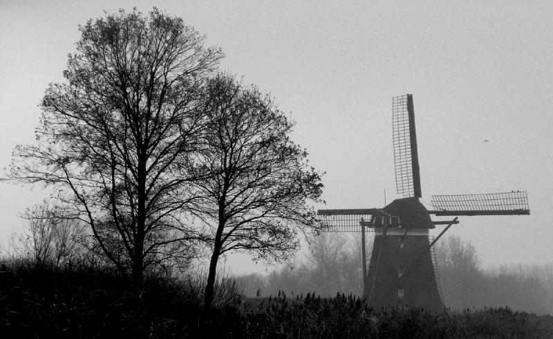 B&W mill with trees