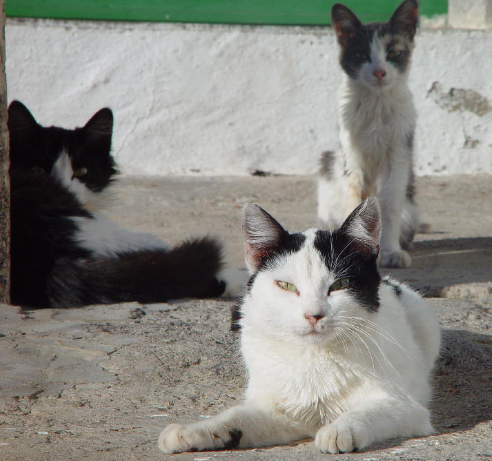 On their guard