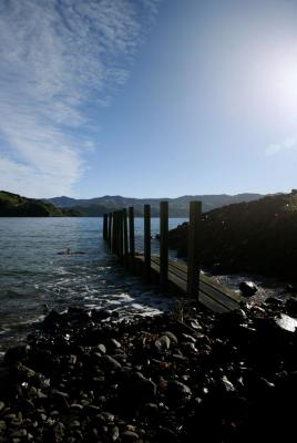 wainui harbour2.jpg