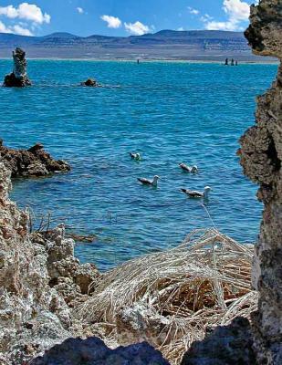 Mono Lake