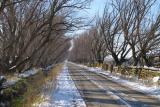 Watery Lane