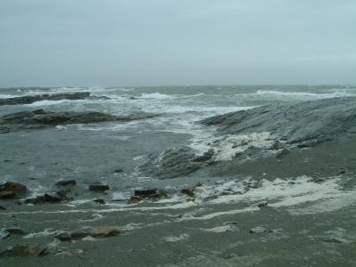 Wind-driven sea foam!