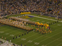 u48/rroussel/upload/35527826.LSUULMtigers.JPG