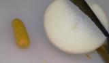 November 29:  O is for Onion