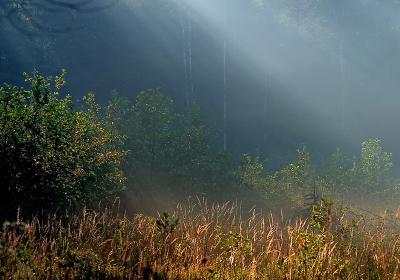 CRW_0160m.jpg