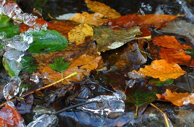 IMG_2955m.jpg