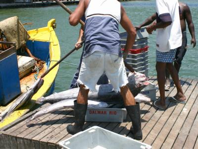 cabo frio 18.jpg