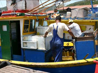 cabo frio 20.jpg