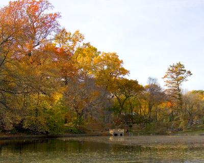 Prospect Park Colors of Fall