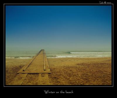 Winter on the beach