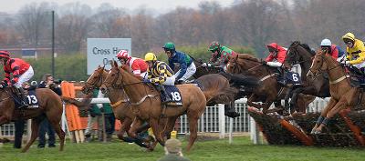 Sandown Tingle Creek Meet